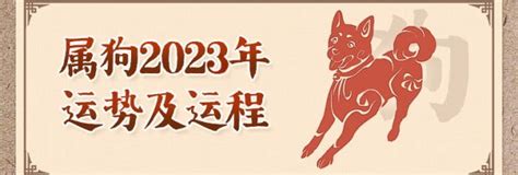 1982年屬狗 運勢|1982年属狗人2024年运势及运程详解 82年出生42岁生。